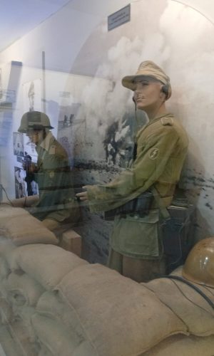 WhatsApp Image 2026-01-19 at 3.19.38 PM