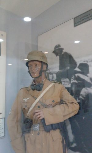 WhatsApp Image 2026-01-19 at 3.19.40 PM