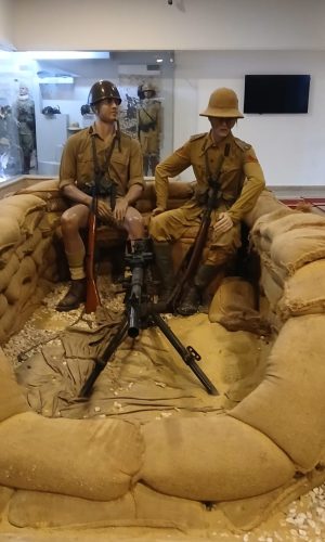 WhatsApp Image 2026-01-19 at 3.19.43 PM