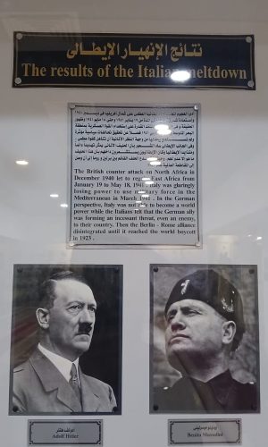 WhatsApp Image 2026-01-19 at 3.19.44 PM